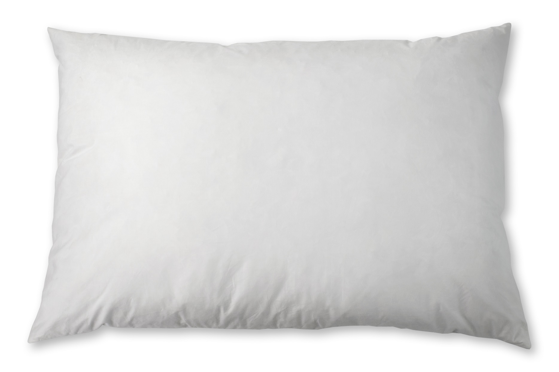 Pillow Insert Duck 95/5 Feather/Down 12"x22" - Click Image to Close